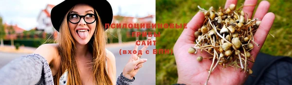 гашиш Приозерск
