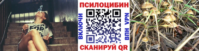 Галлюциногенные грибы ЛСД  дарнет шоп  Зеленодольск 