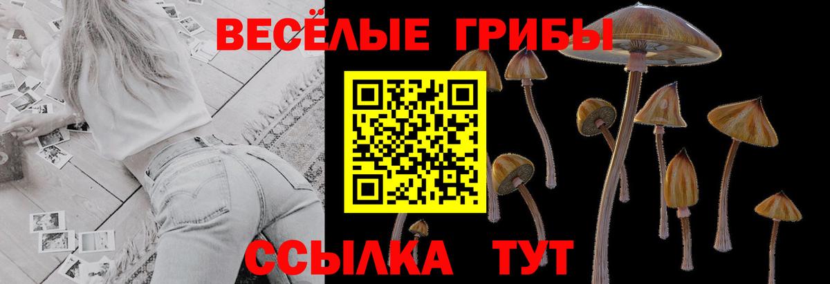 Псилоцибиновые грибы GOLDEN TEACHER  Вход с VPN  Зеленодольск 