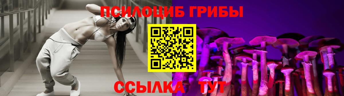 Псилоцибиновые грибы Psilocybine cubensis Зеленодольск